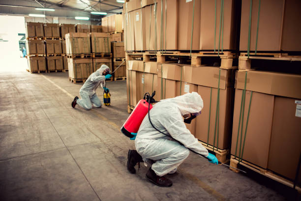 Best Pest Control Near Me  in Campbellsburg, KY