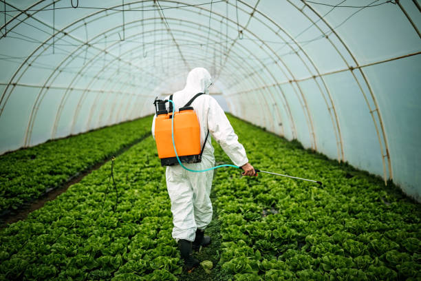 Pest Control for Restaurants in Campbellsburg, KY