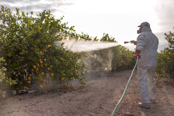Best Best Pest Control Companies  in Campbellsburg, KY
