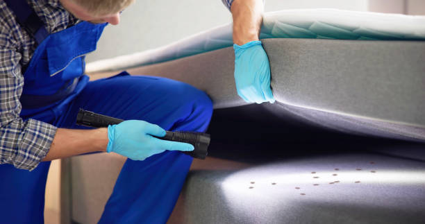 Best Affordable Pest Control Services  in Campbellsburg, KY