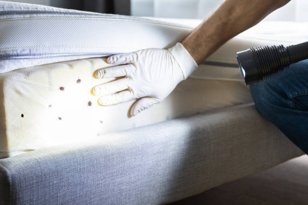 Best Affordable Exterminators  in Campbellsburg, KY