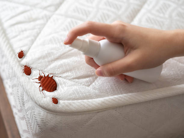  Campbellsburg, KY Pest Control Pros