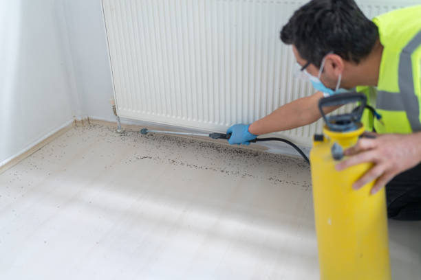 Best Pest Removal Services  in Campbellsburg, KY