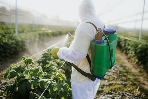 Pest Prevention Services in Campbellsburg, KY